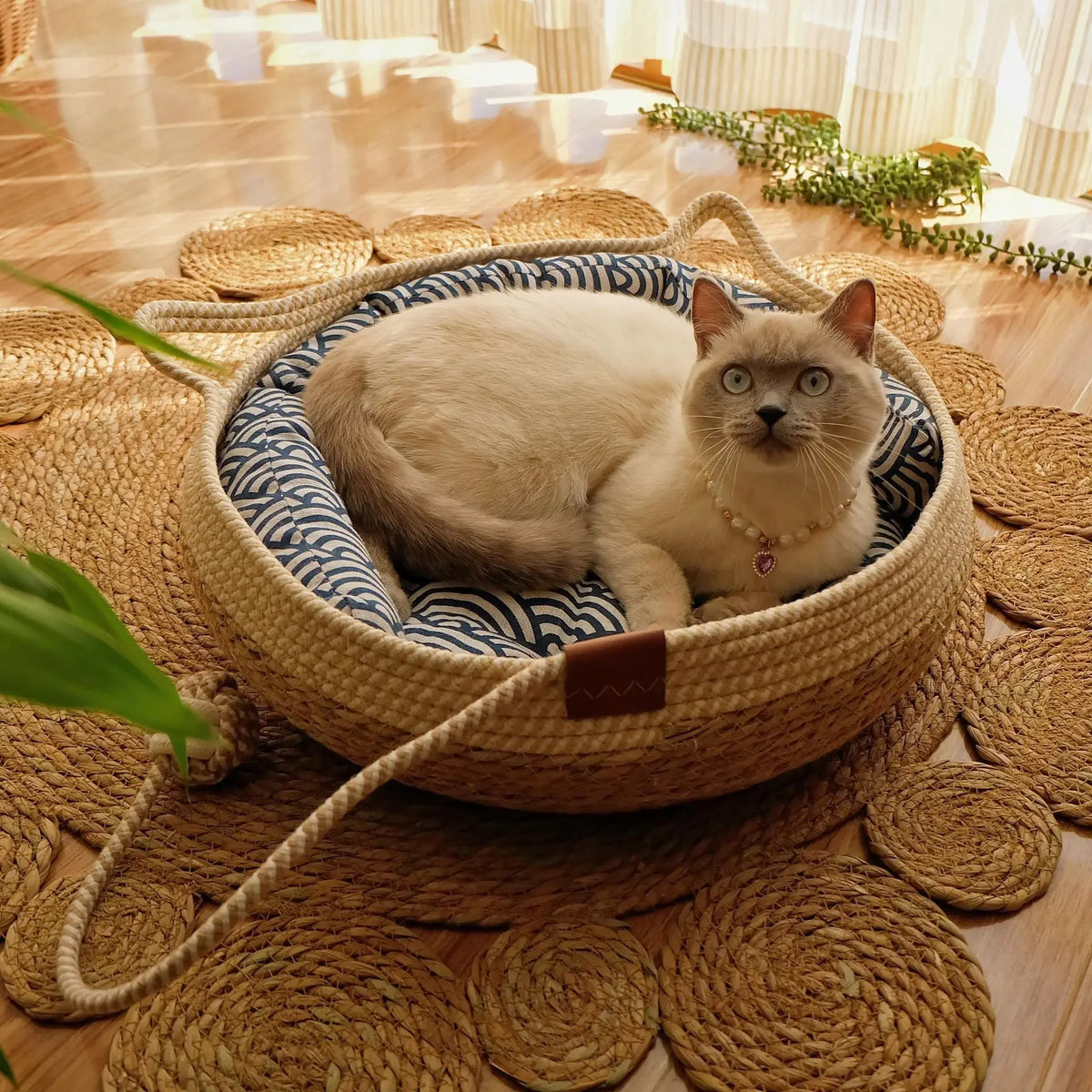 Cama Pet Vime Trançado - Casinha Circular para Gatos e Filhotes