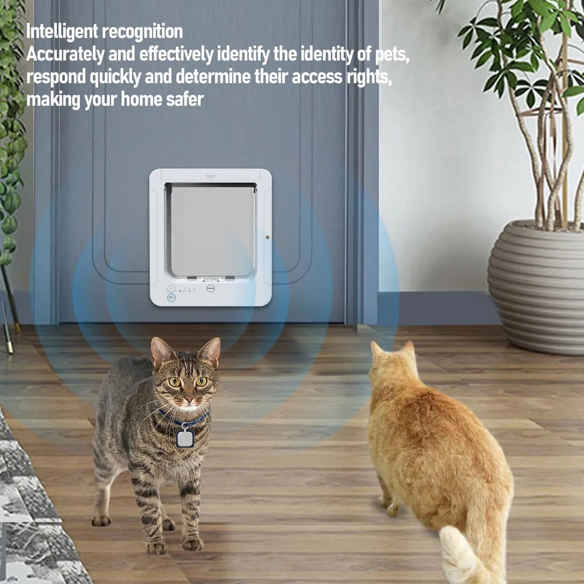 Portinha Inteligente para Gatos - Instalação Fácil Sensor Coleira