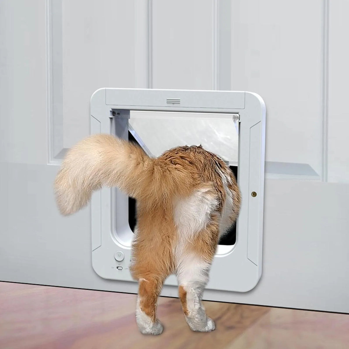 Portinha Inteligente para Gatos - Instalação Fácil Sensor Coleira