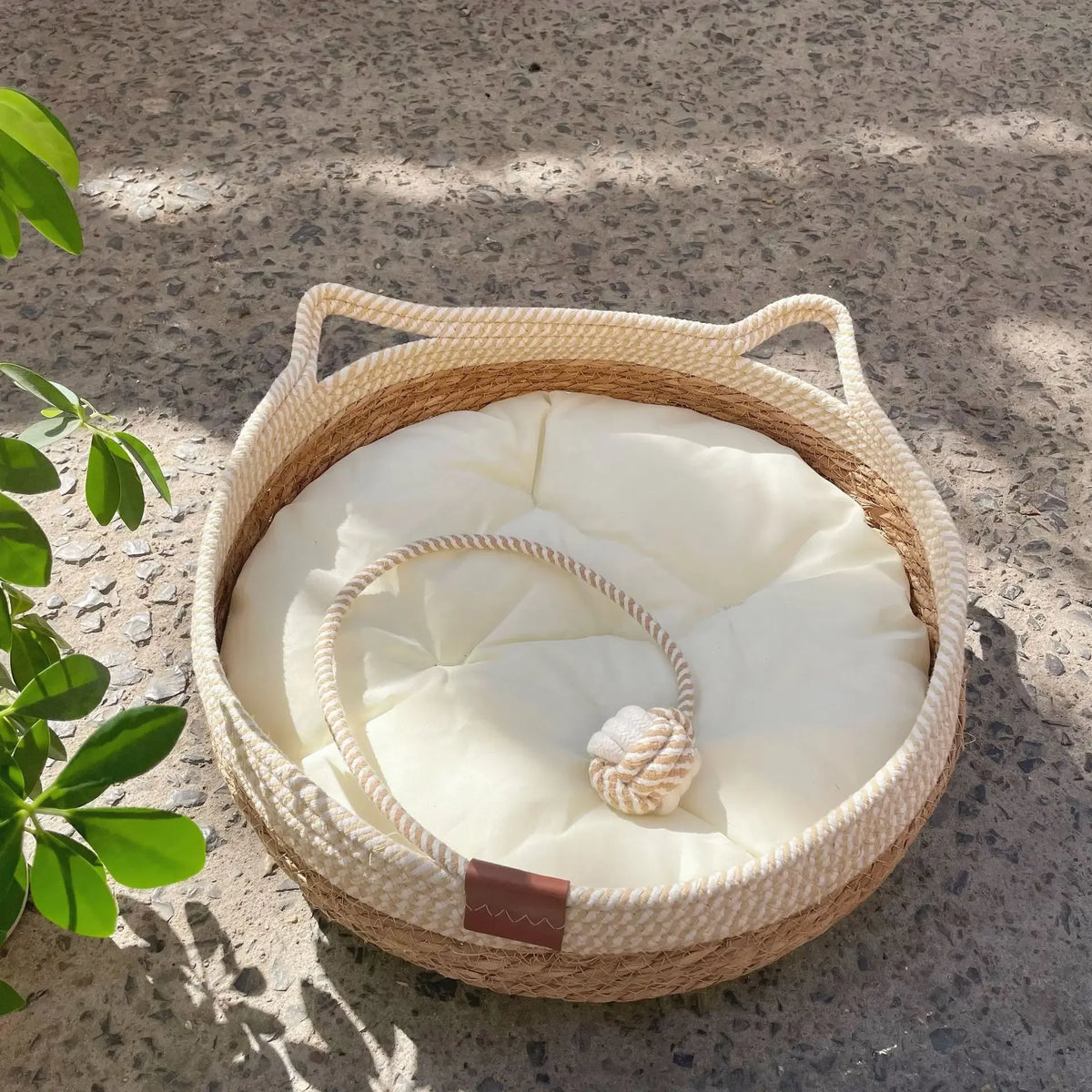 Cama Pet Vime Trançado - Casinha Circular para Gatos e Filhotes