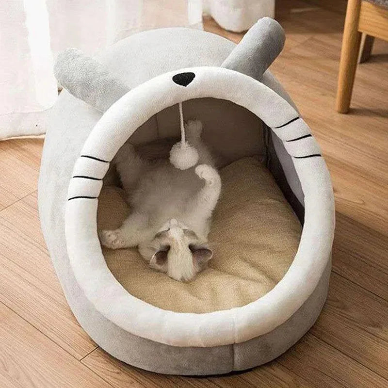 Caminha Cartoon Deep Sleep - Cama Pet Dobrável Lavável